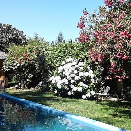 Puerta Del Sol Molina B&B מראה חיצוני תמונה
