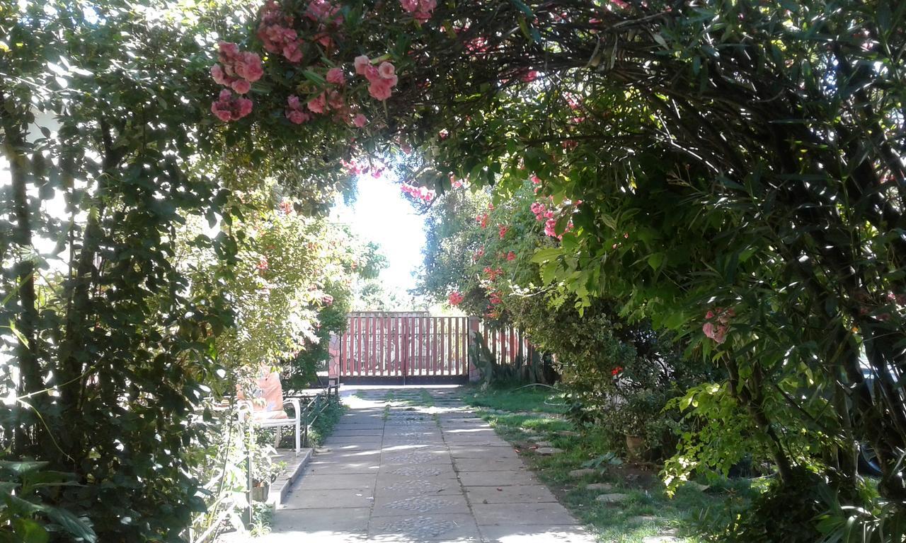Puerta Del Sol Molina B&B מראה חיצוני תמונה
