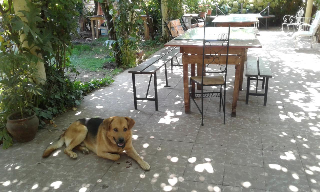 Puerta Del Sol Molina B&B מראה חיצוני תמונה